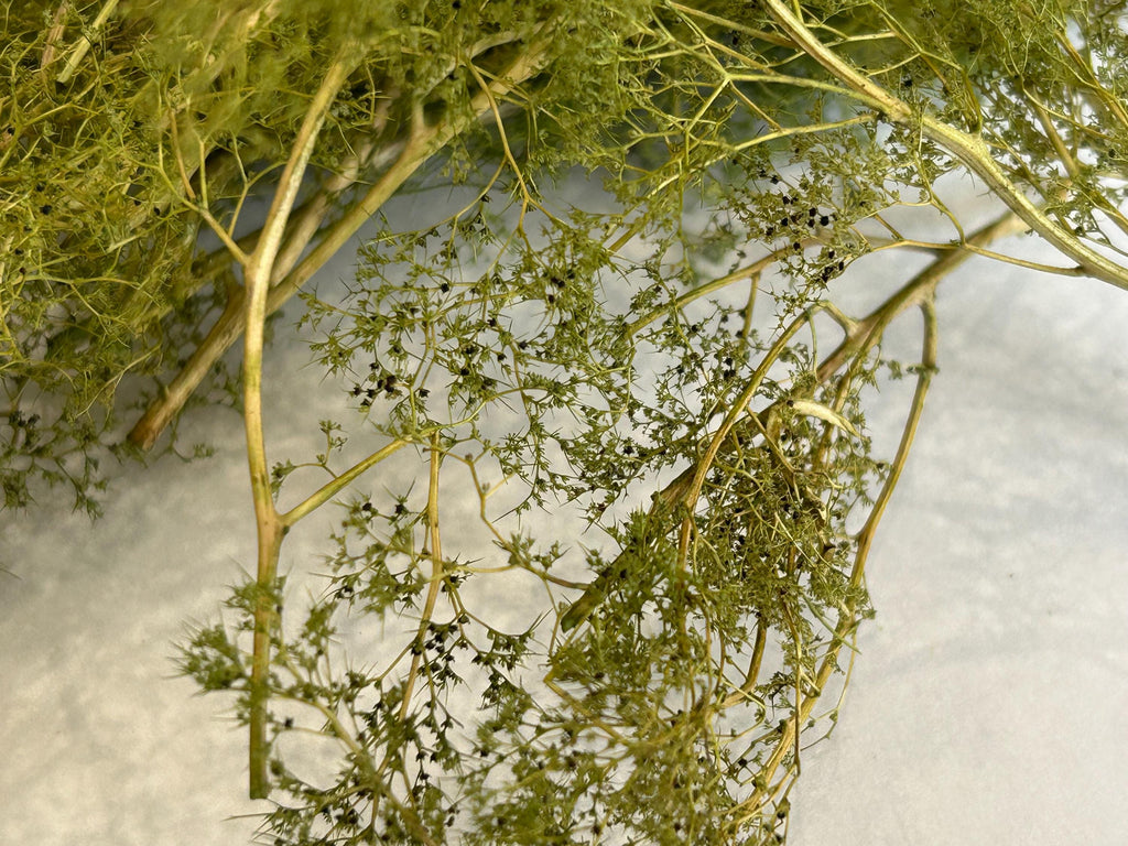 Natural Seafoam Trees