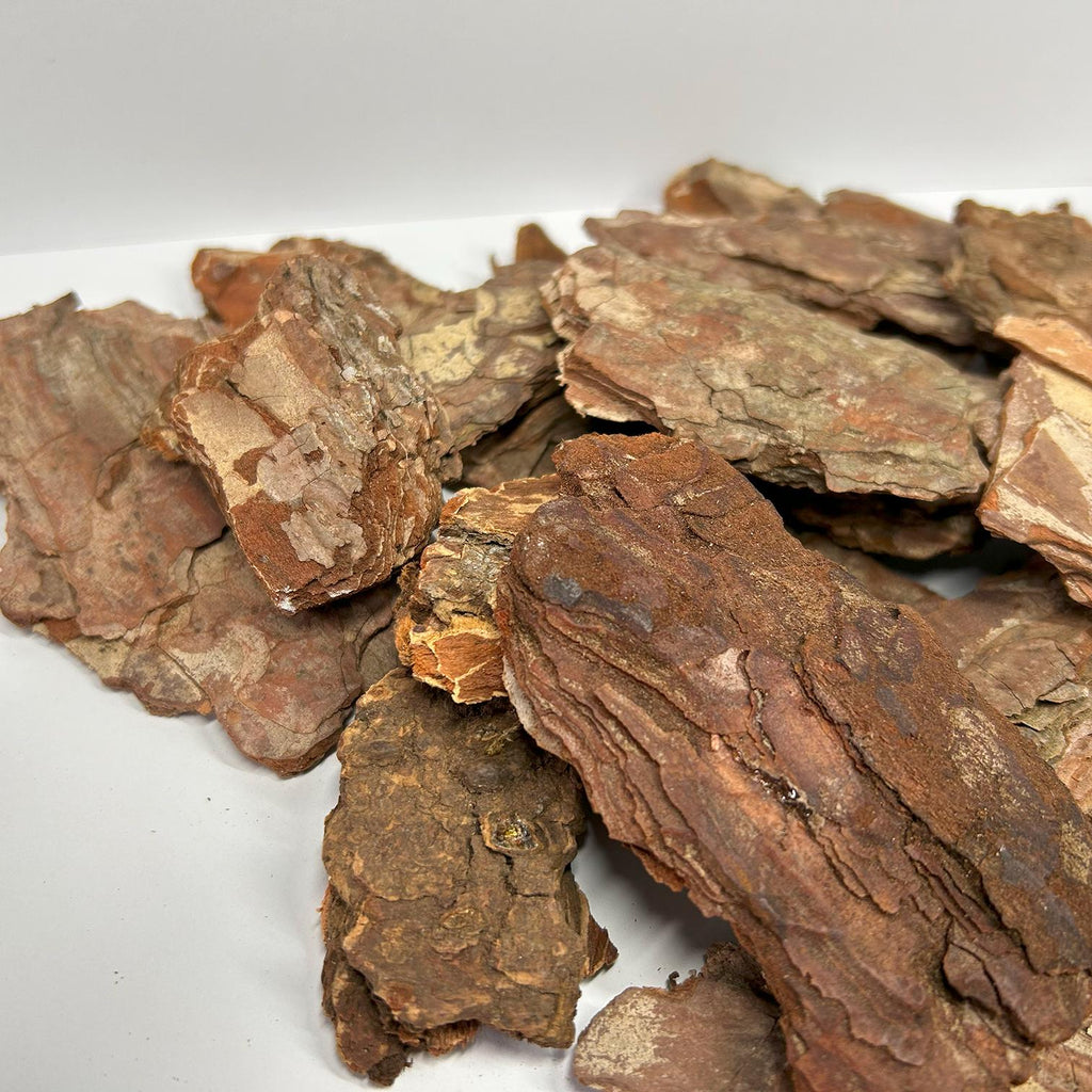 Natural Pine Wood Nuggets