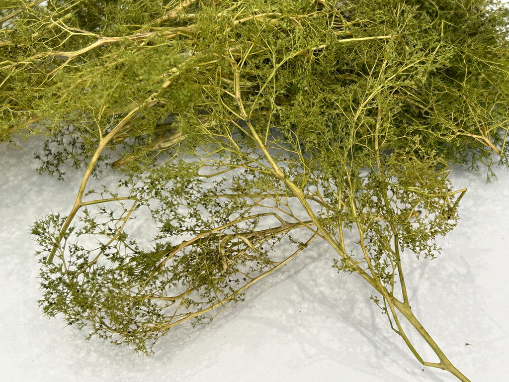 Natural Seafoam Trees