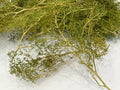Natural Seafoam Trees