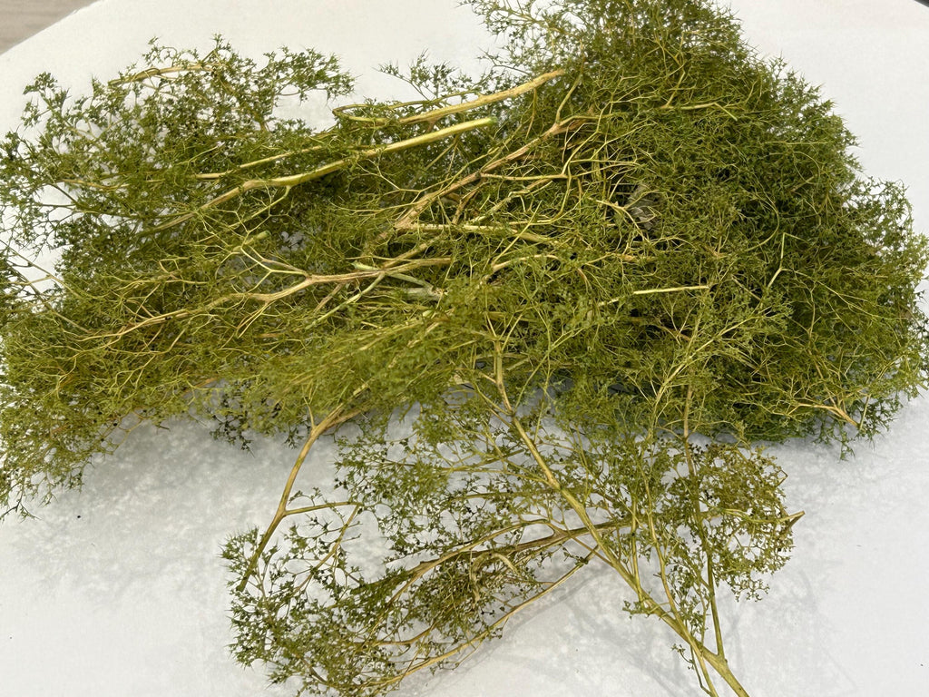 Natural Seafoam Trees