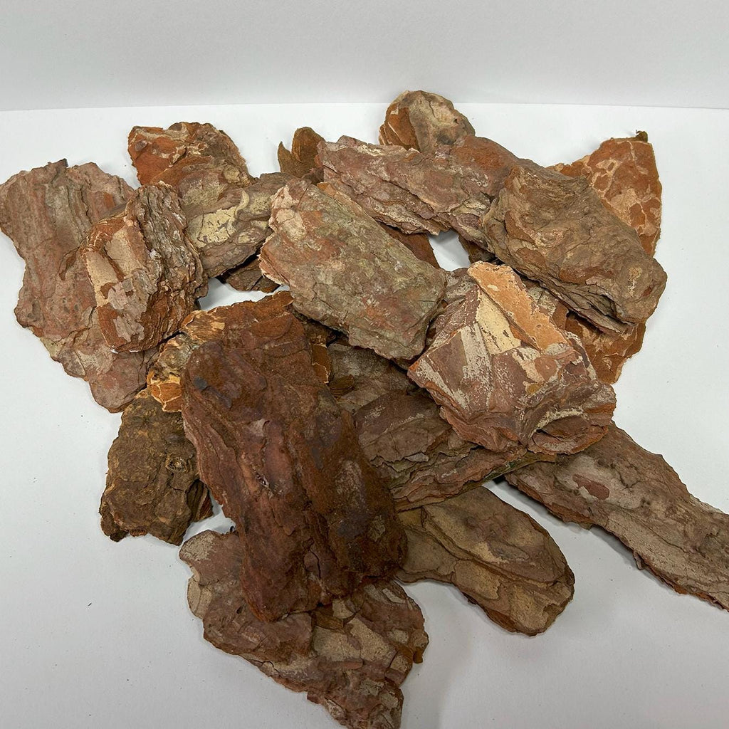 Natural Pine Wood Nuggets